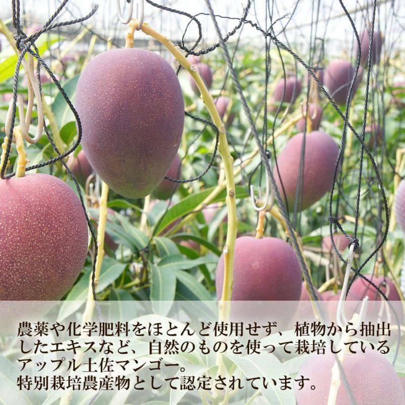 特別栽培農産物として認定されています