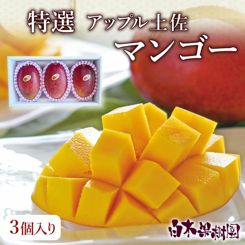 特選アップル土佐マンゴー 秀品・化粧箱（3個入り）