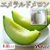 極上エメラルドメロン 1個木箱入り（高知県産）