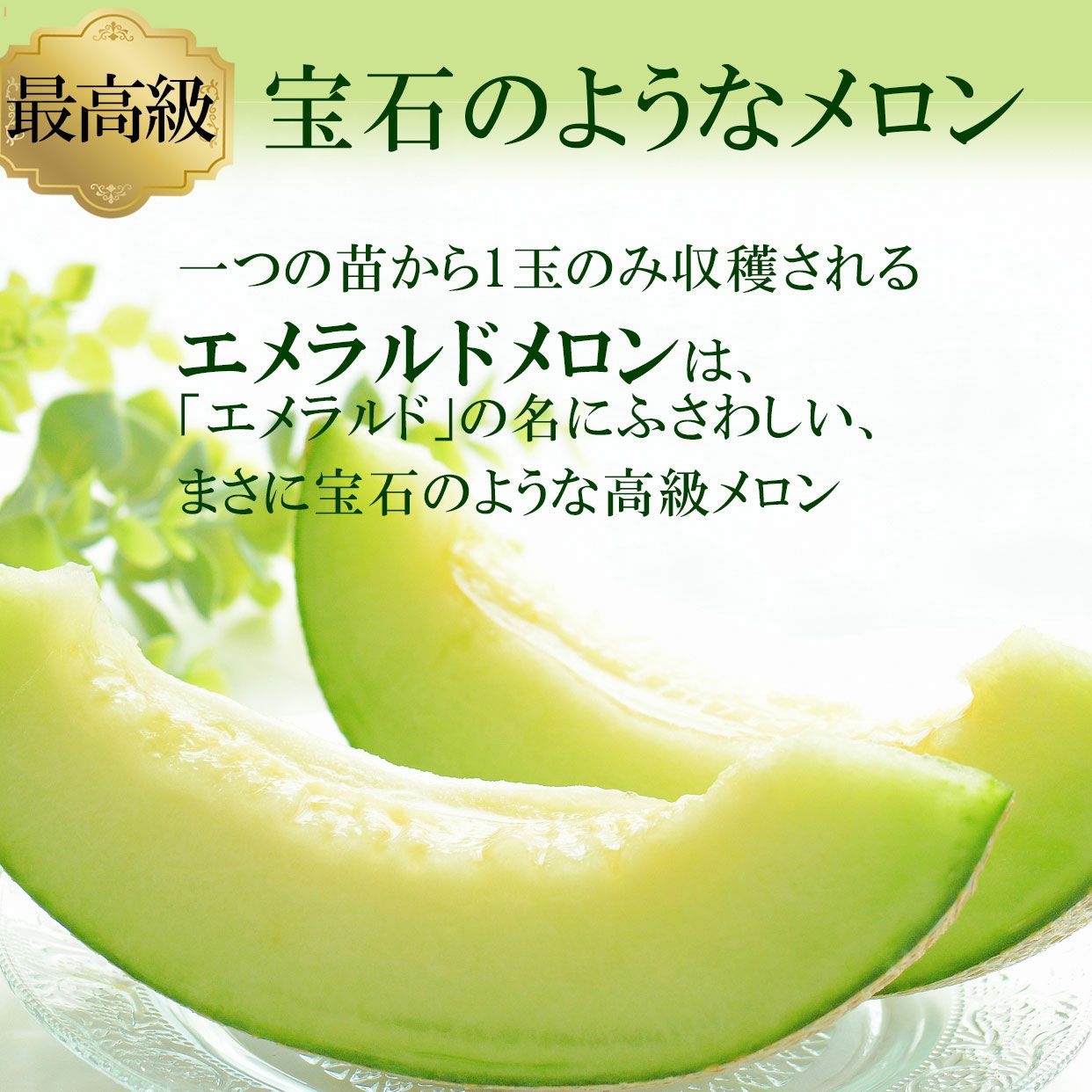極上エメラルドメロン1個木箱入り【送料込】 | 白木果樹園