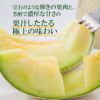 果汁したたる極上の味わい