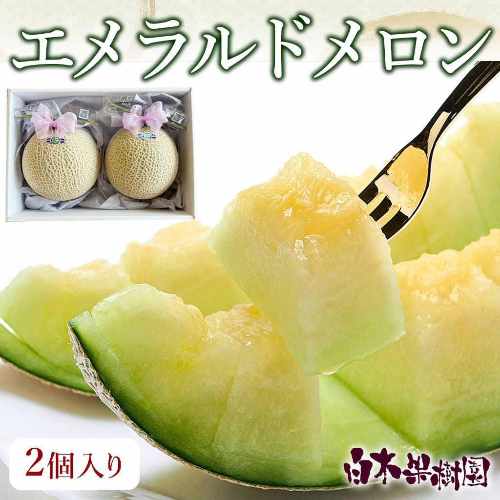 送料込】極上エメラルドメロン2個入り | 白木果樹園