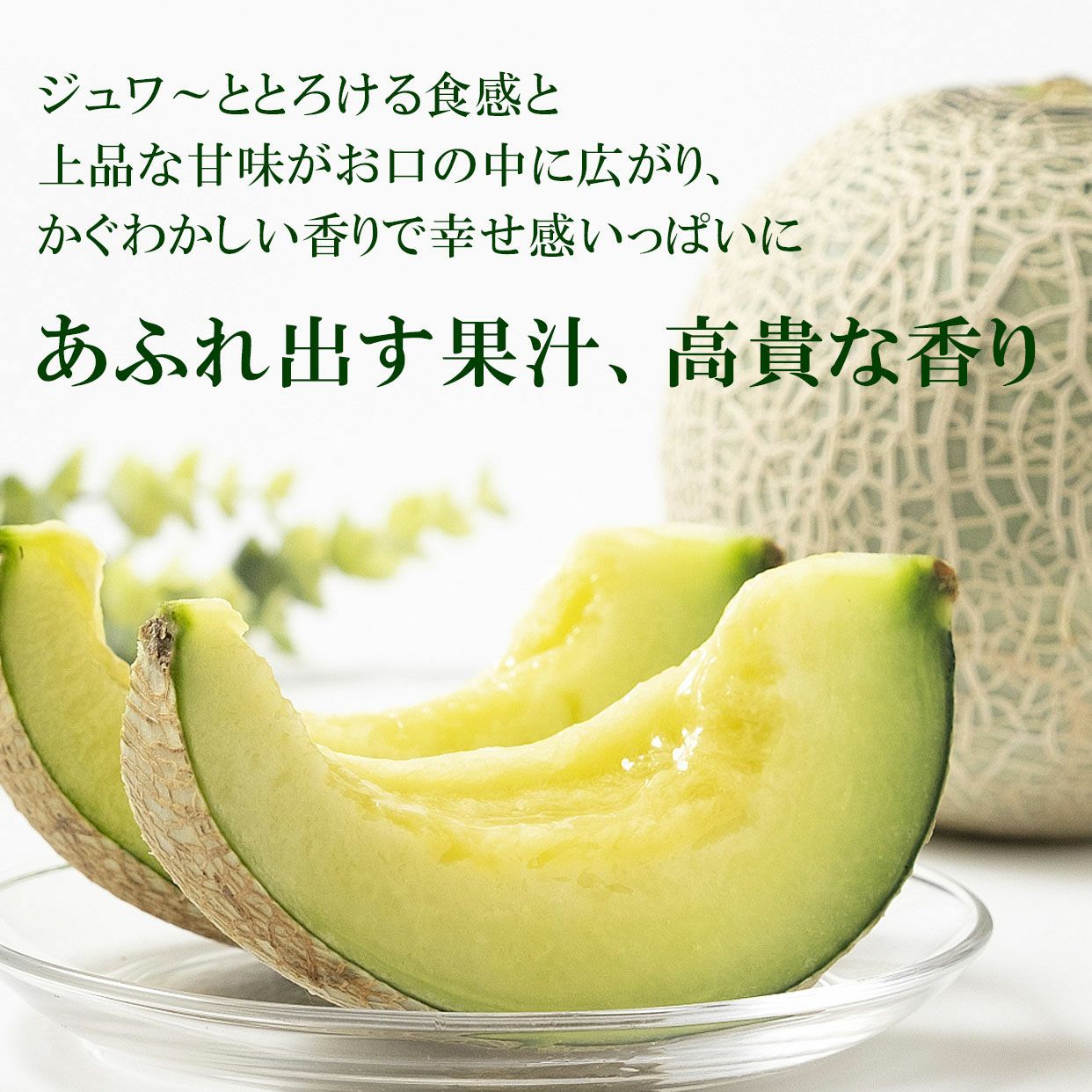 メロン② 極上エメラルドメロン2個入り【送料込】 | 白木果樹園