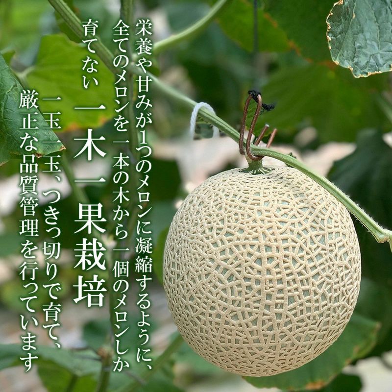 一木一果栽培