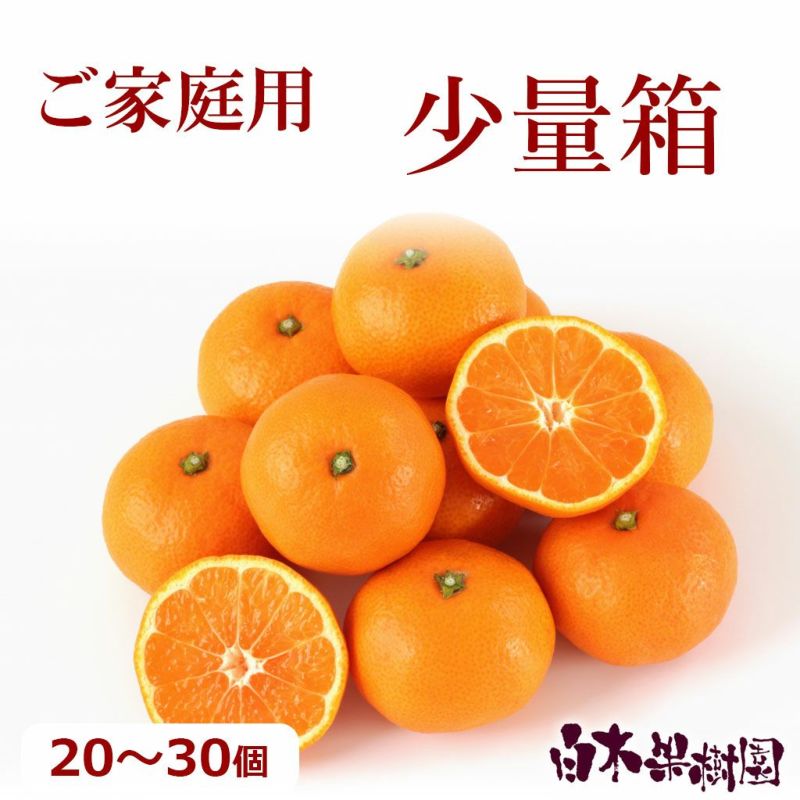 セール】【同梱可能】温州みかん約1.8kg少量箱【おためし