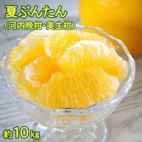 露地夏ぶんたん 訳ありご家庭用 約10kg