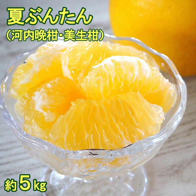 露地夏ぶんたん 訳ありご家庭用 約6kg