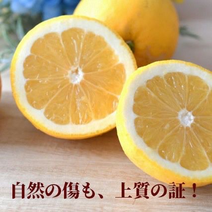 剥いた画像