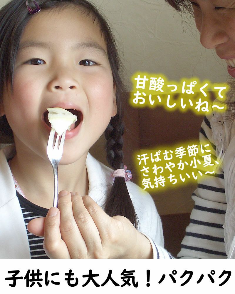 子供にも大人気