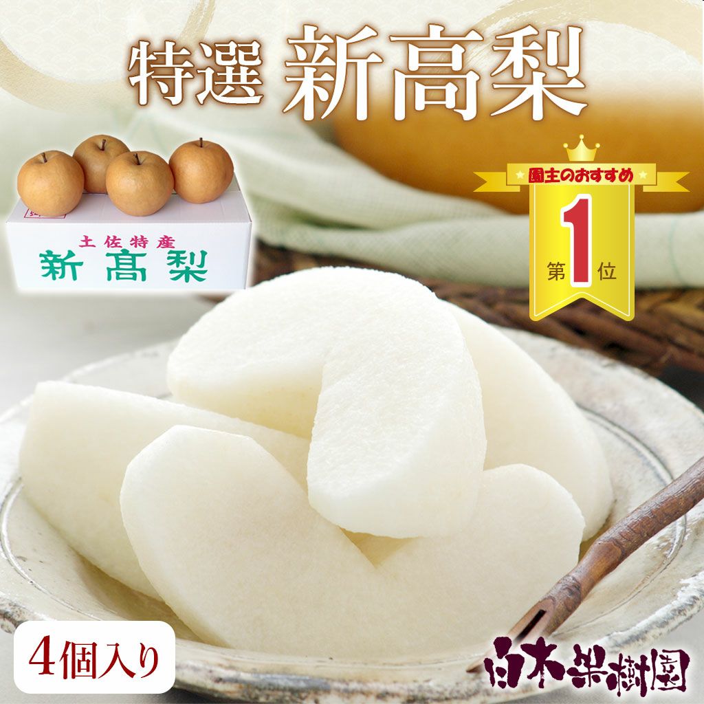 特選秀品新高梨 特大4個入り