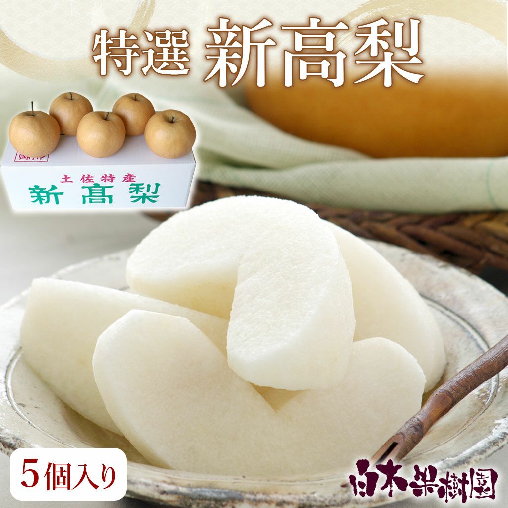 特選秀品新高梨大玉5個入り【送料込】 | 白木果樹園