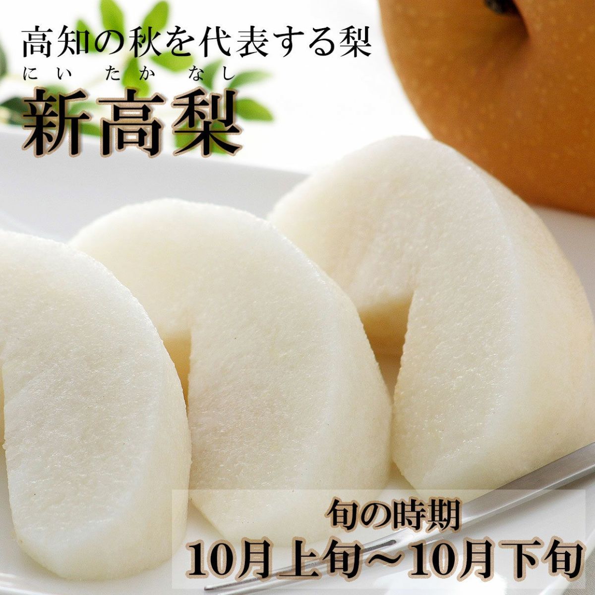 高知の秋を代表する梨・新高梨