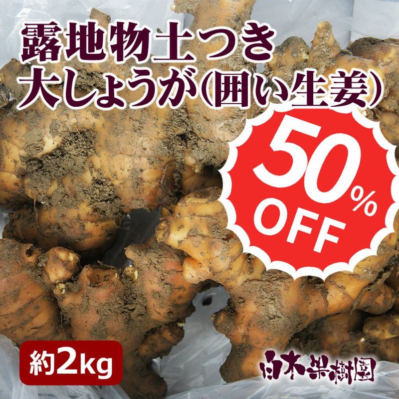 送料込】露地物土つき大しょうが（囲い生姜） 約2kg | 白木果樹園