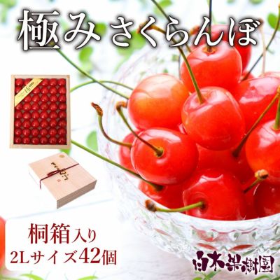 さくらんぼ様 リクエスト 4点 まとめ商品 さくらんぼ様 リクエスト 2点 まとめ商品 - メルカリ