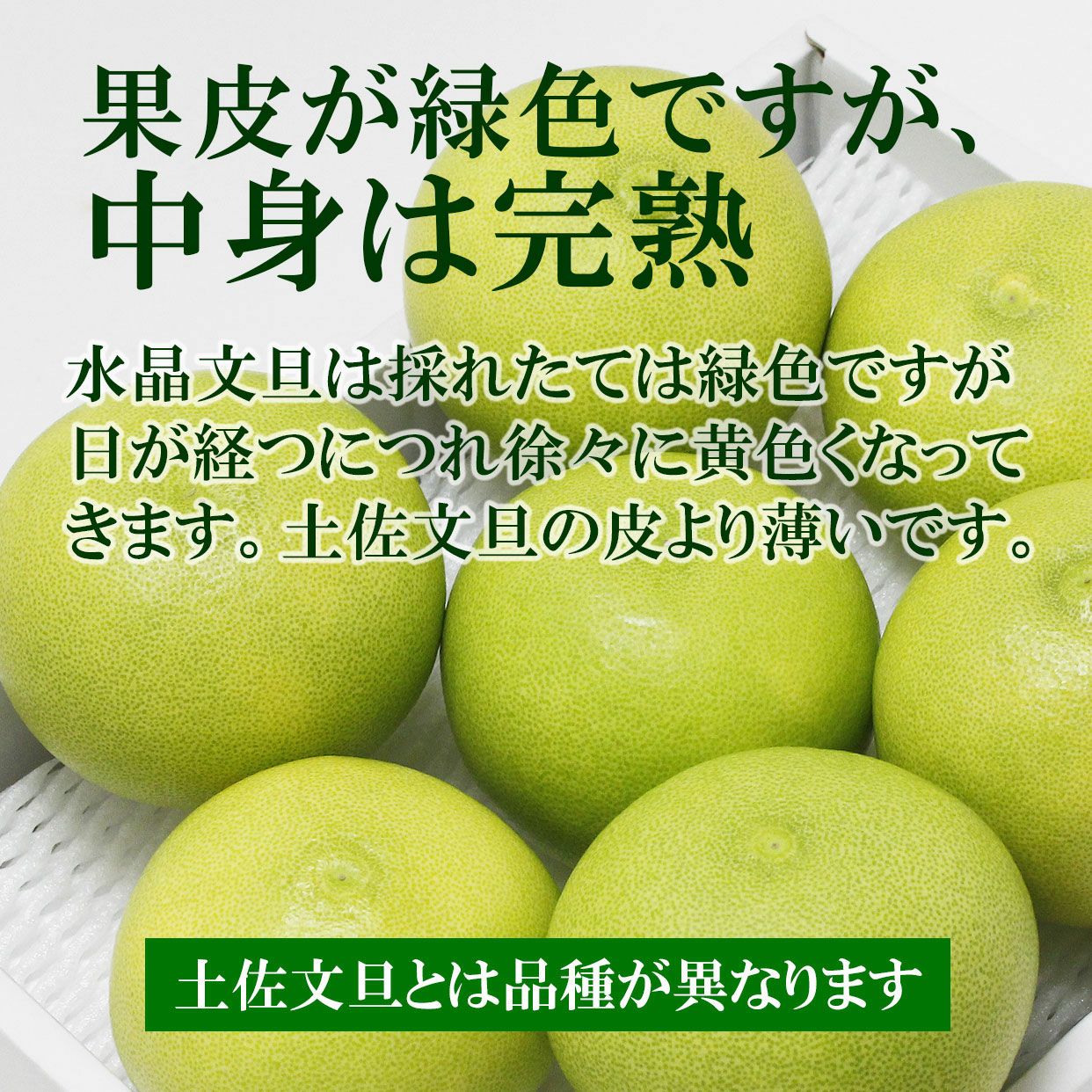 000000000108-04-l.jpg?t= 