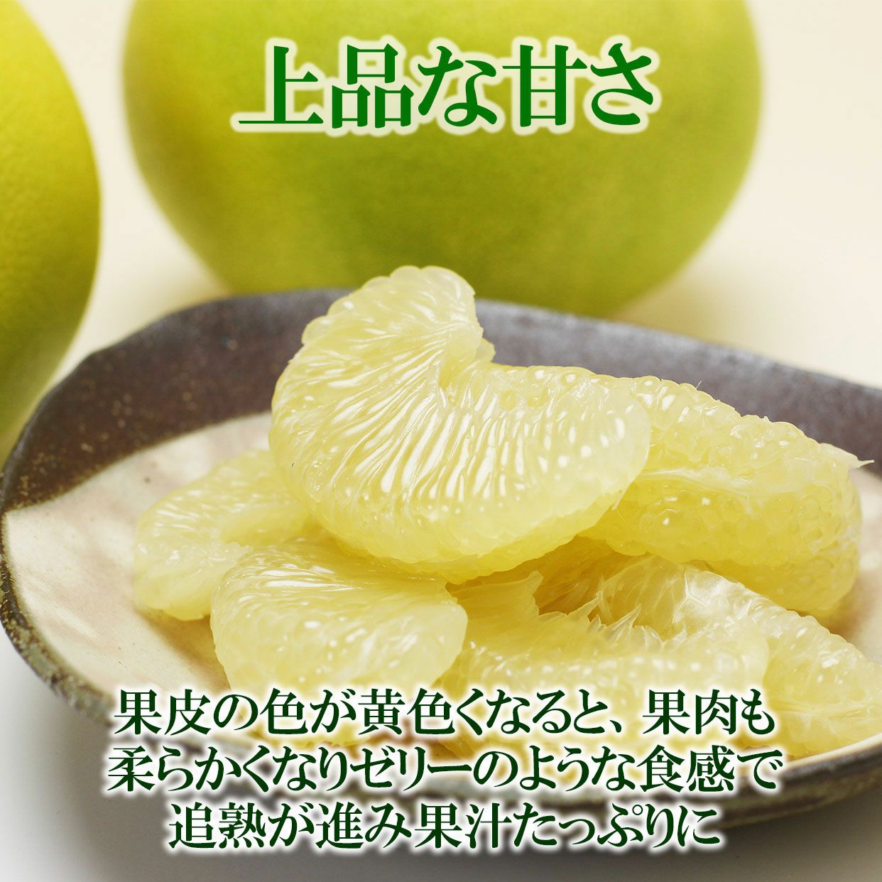 送料込】水晶文旦特選ご贈答用特大2個入り | 白木果樹園