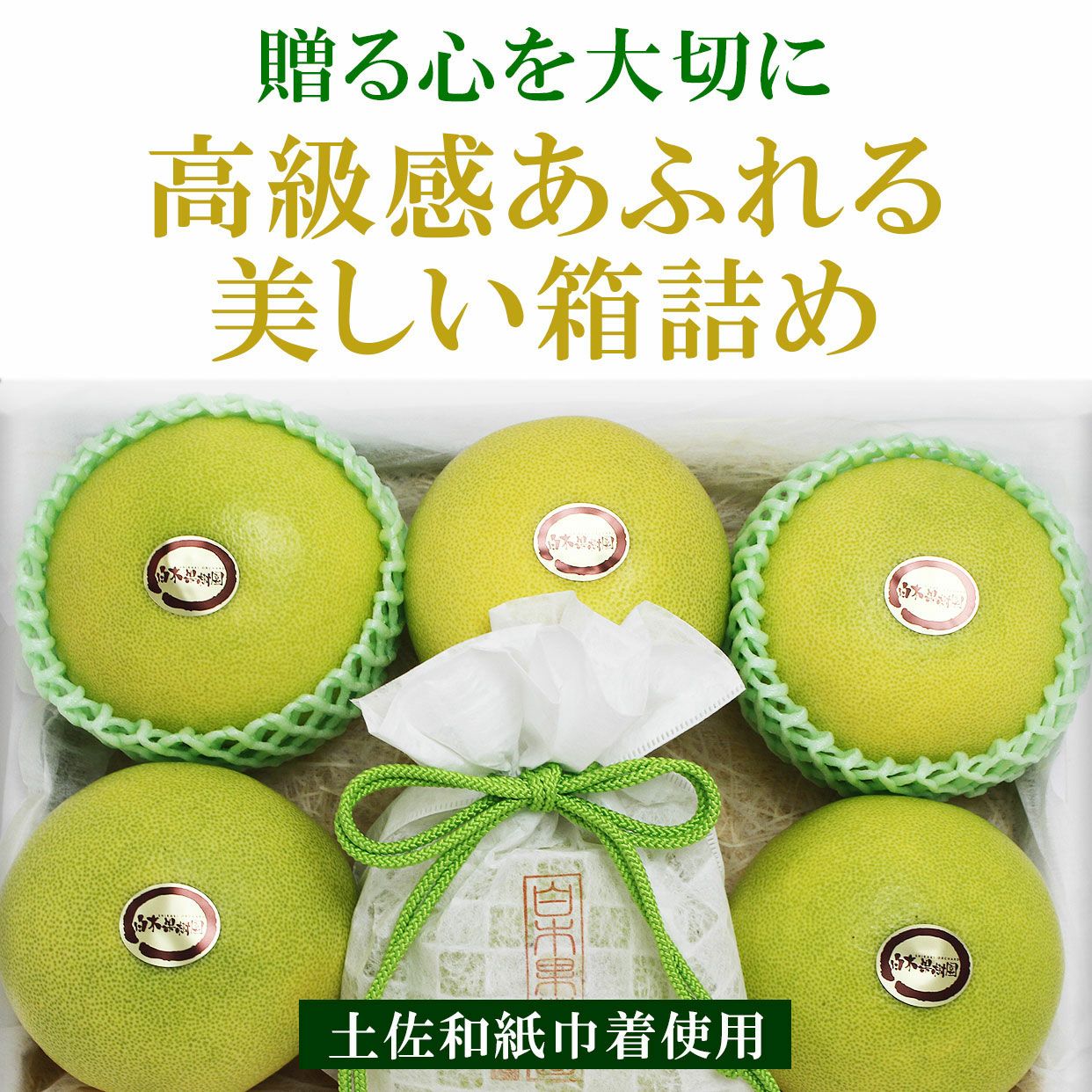お試し価格❗️今だけこのお値段】めっちゃ甘い水晶文旦79