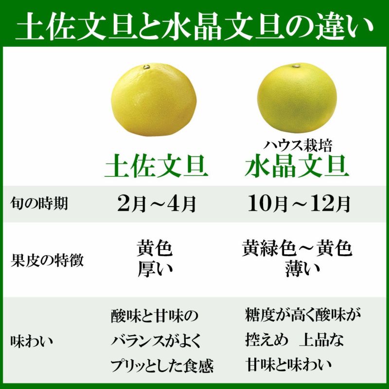 安売り中　９Kg 　高知産　超大玉　ハウス水晶文旦　 １２玉入り　家庭用 水晶文旦（大玉～特大）・特選ご贈答用・5kg箱・6～8玉