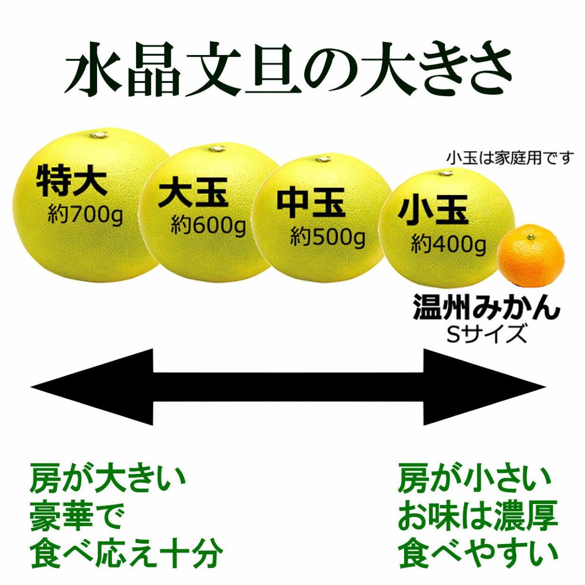 水晶文旦の大きさ