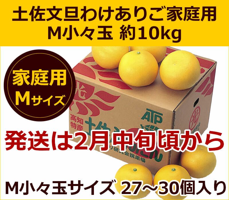 土佐文旦ご家庭用　Mこつぶ玉　約10kg