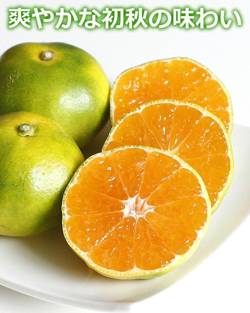 爽やかな初秋の味わい