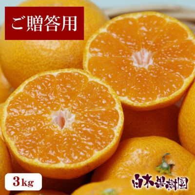 みかん