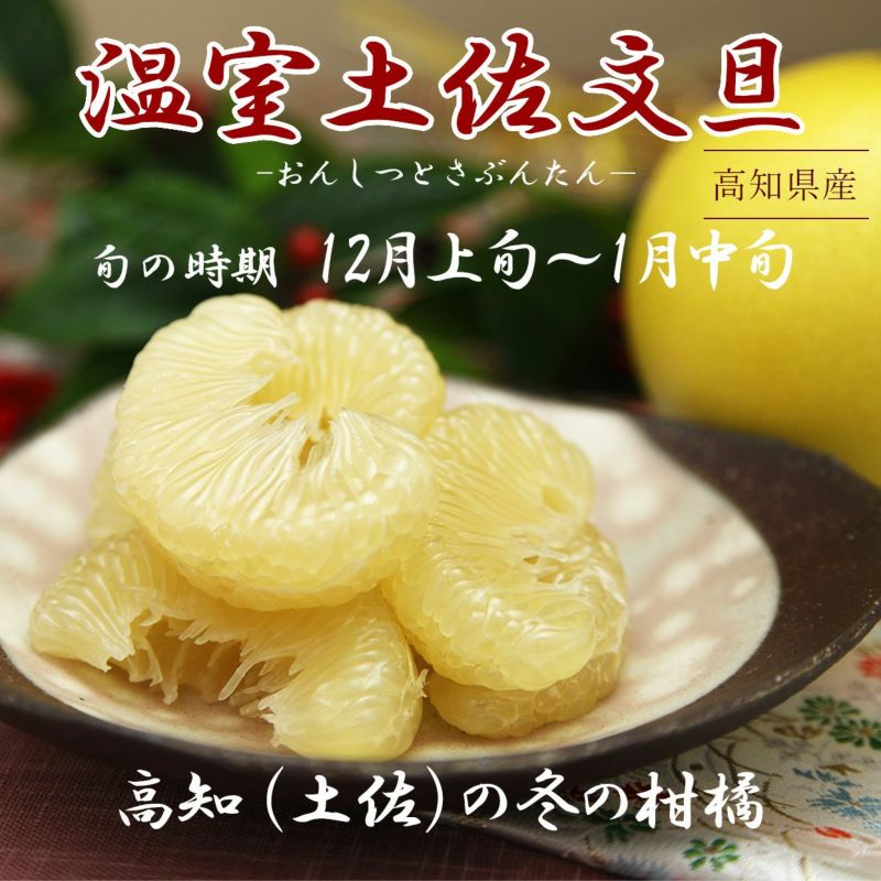 土佐文旦（露地栽培）- 高知かねた青果オンラインショップ