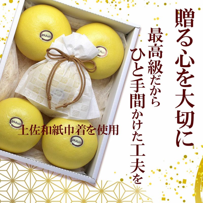 土佐文旦♪大玉ちゃん&訳ありGabri2箱同梱 000000000157-07-l.jpg?t=