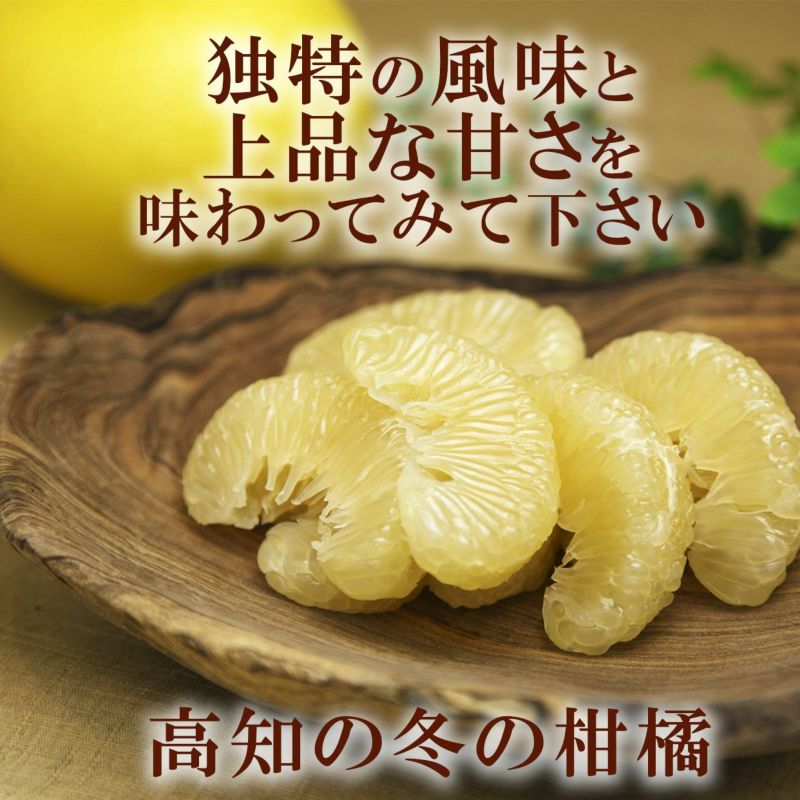 送料込】温室土佐文旦（ハウス文旦）最高級極撰 温室土佐文旦