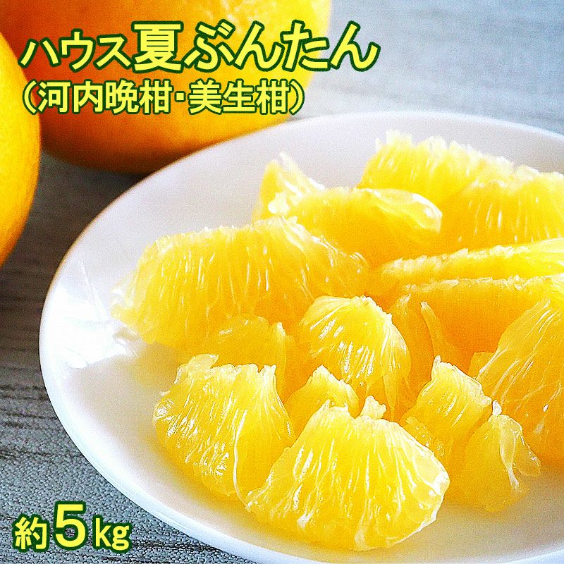 ハウス夏ぶんたんご家庭用 約5kg