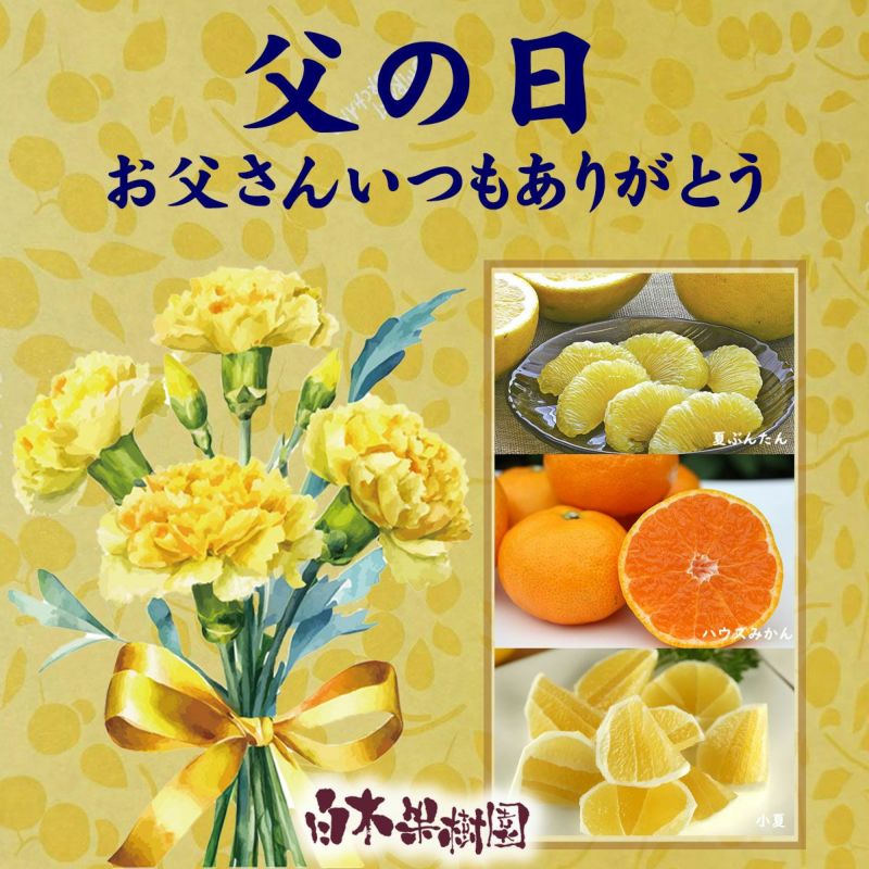 お父さんいつもありがとう