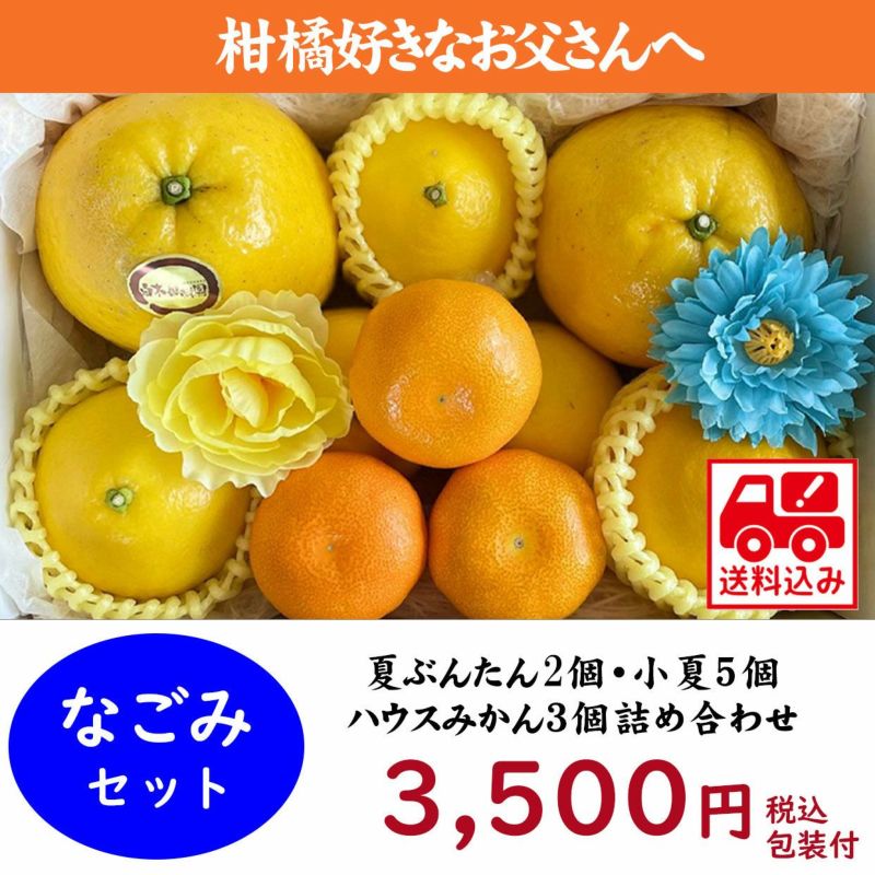 柑橘セット・なごみ