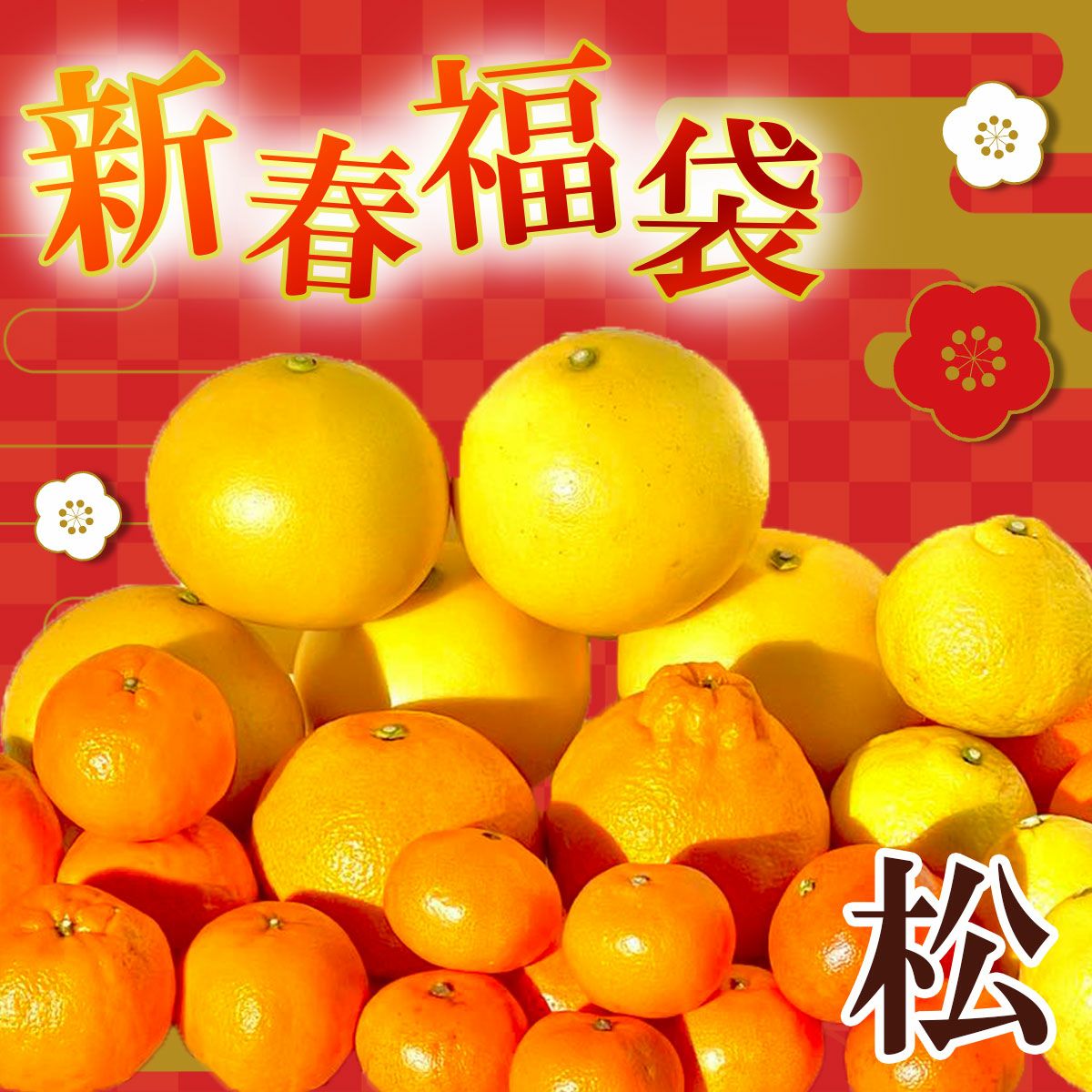 白木果樹園　新春福袋（大）