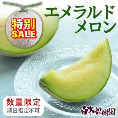 送料込】極上エメラルドメロン1個木箱入り | 白木果樹園