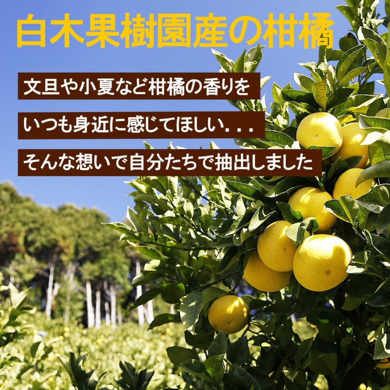 白木果樹園の柑橘
