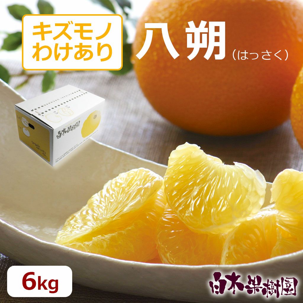 送料込】八朔 ご家庭用大小込 約6kg | 白木果樹園 