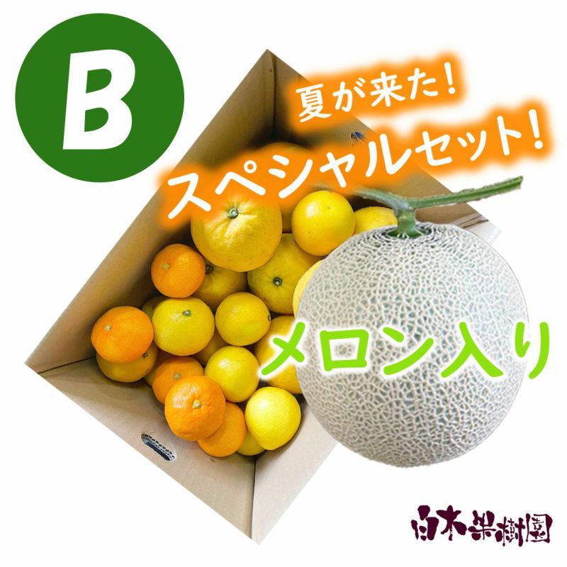 旬のおまかせセットB