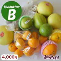 旬のおまかせセットB
