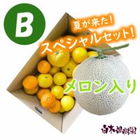 旬のおまかせセットB