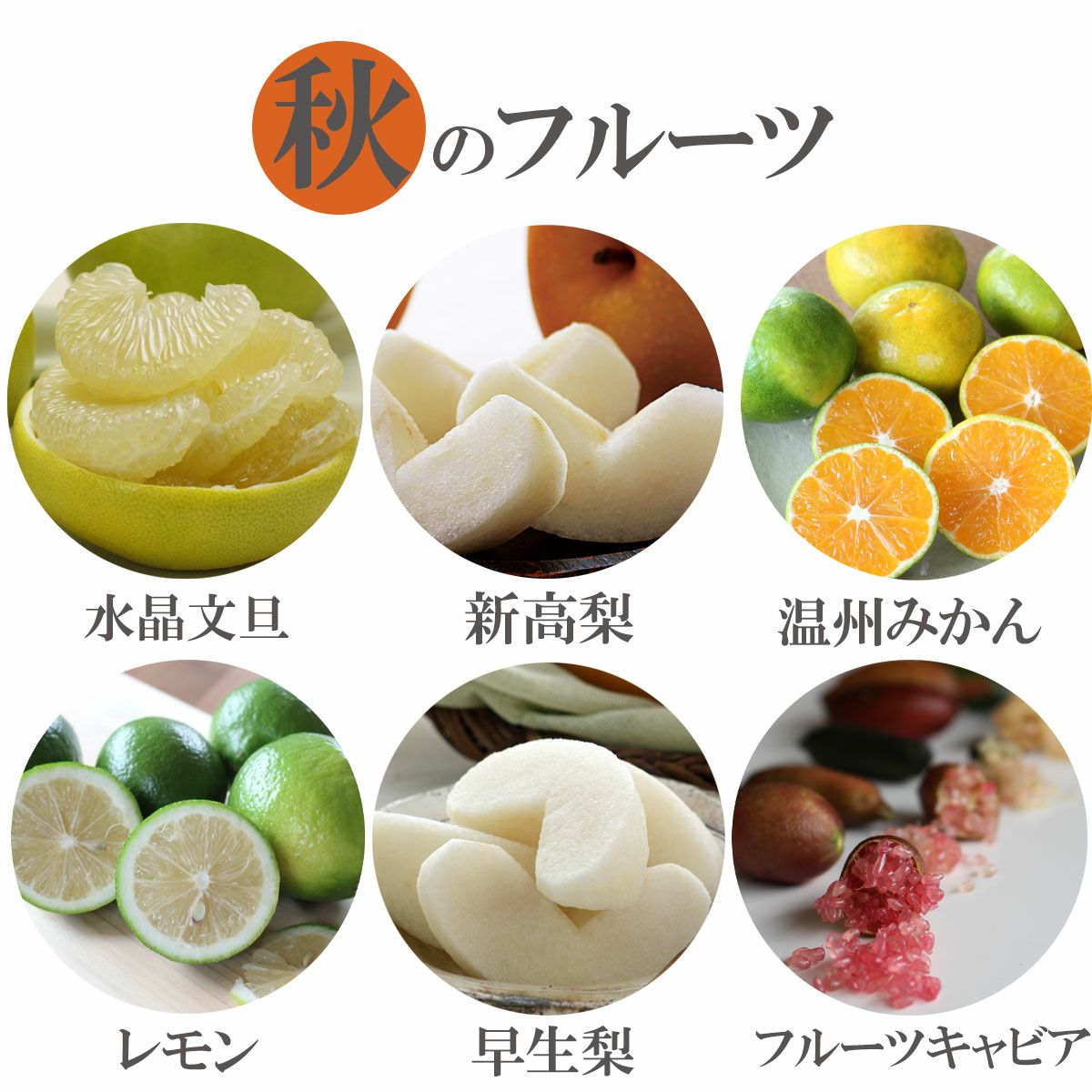 訳あり】旬のおまかせセットB【送料込】 | 白木果樹園