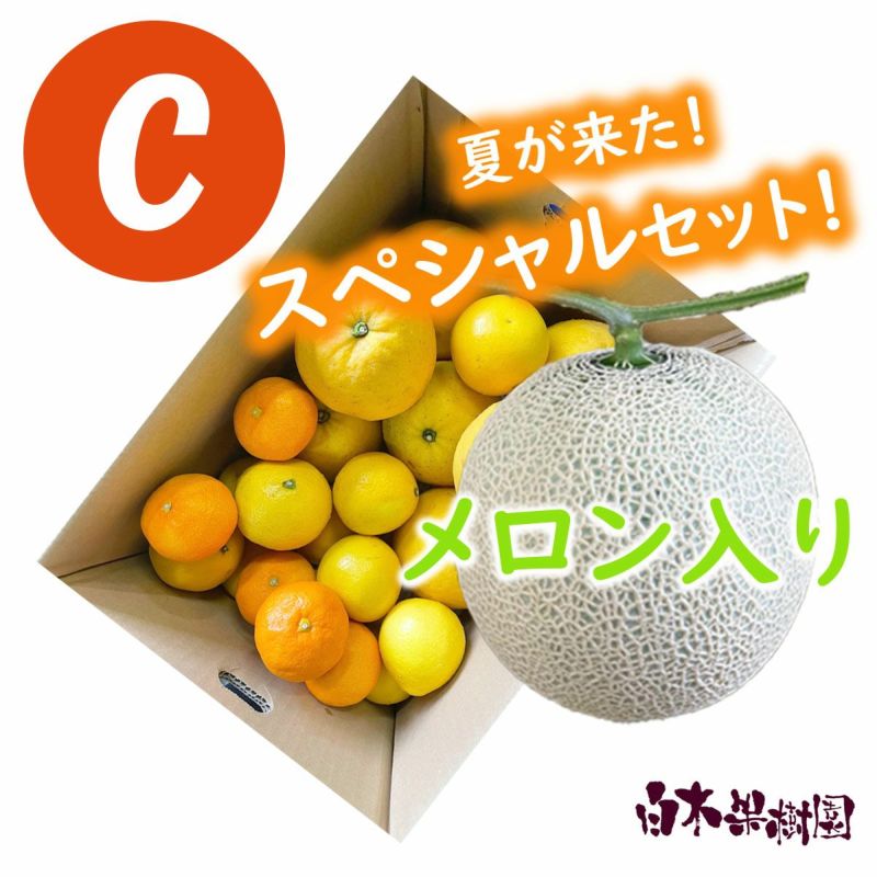 旬のおまかせセットC
