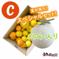 旬のおまかせセットC