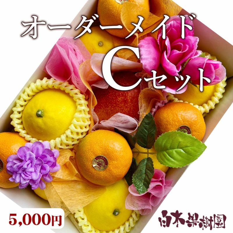 オーダメイドフルーツセットC