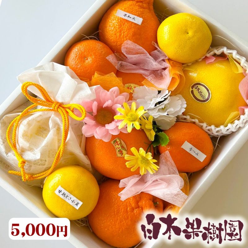 オーダメイドフルーツセットC