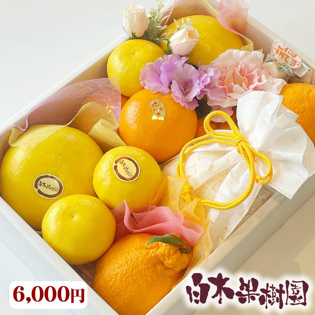 白木果樹園オーダーメイドフルーツセット D（フルーツ詰め合わせ