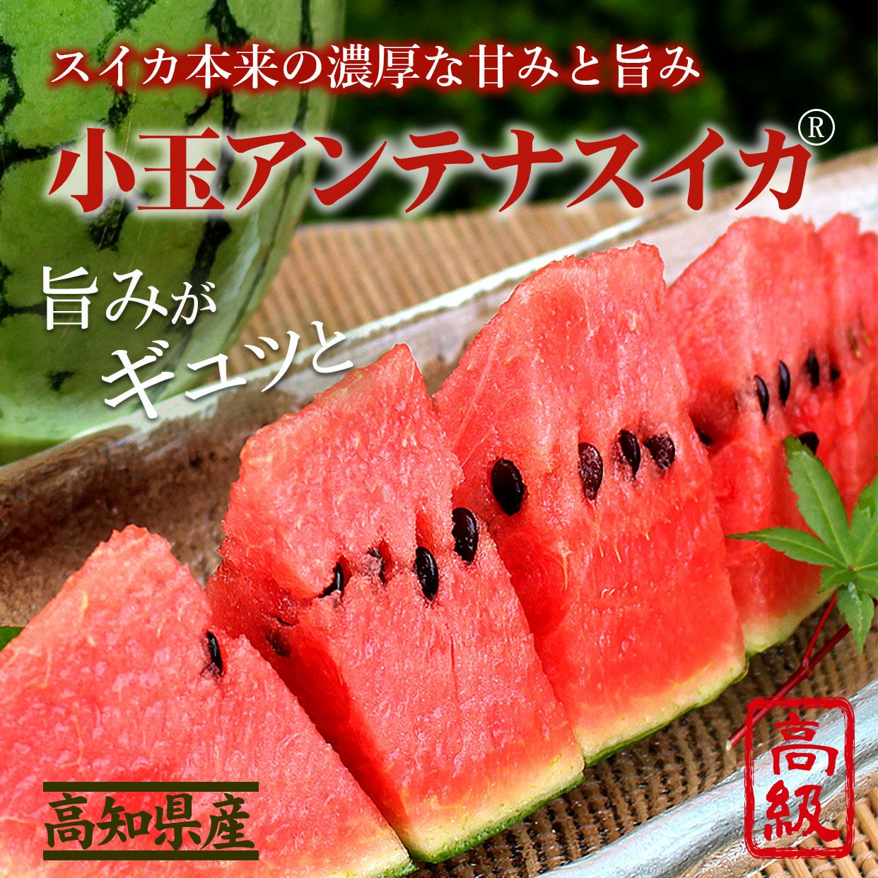 アンテナスイカ
