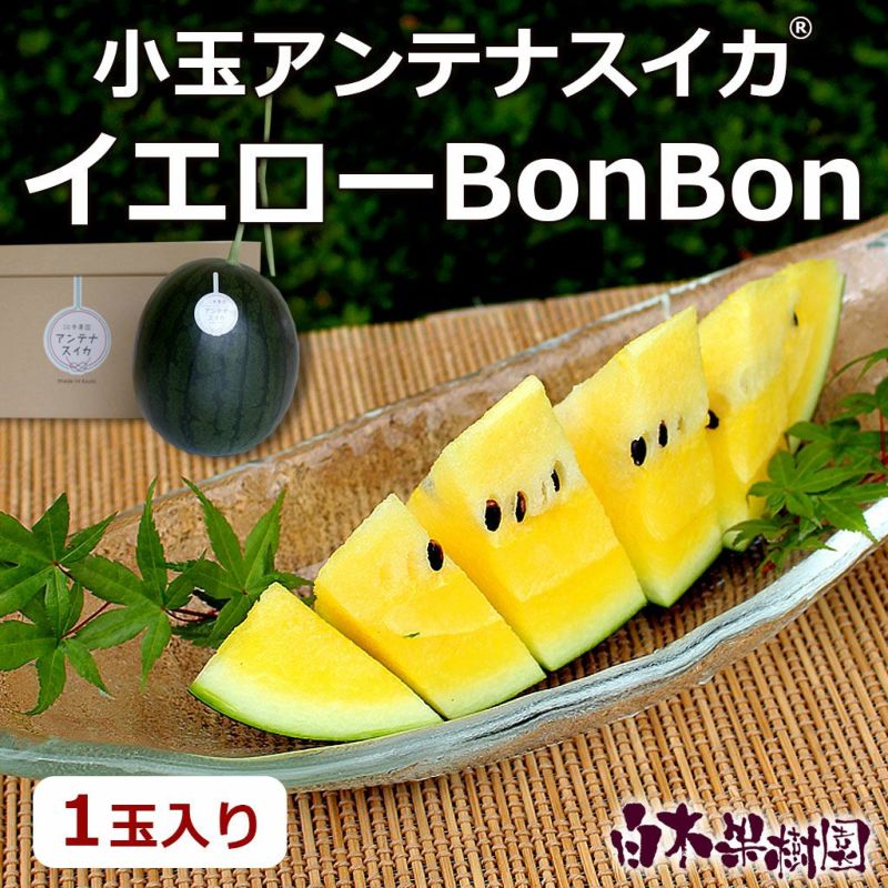  えもとさんちの小玉スイカ 1玉ギフト箱入り イエローBonBon