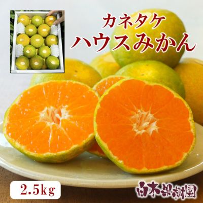 カネタケさんのハウスみかん 約2.5kg