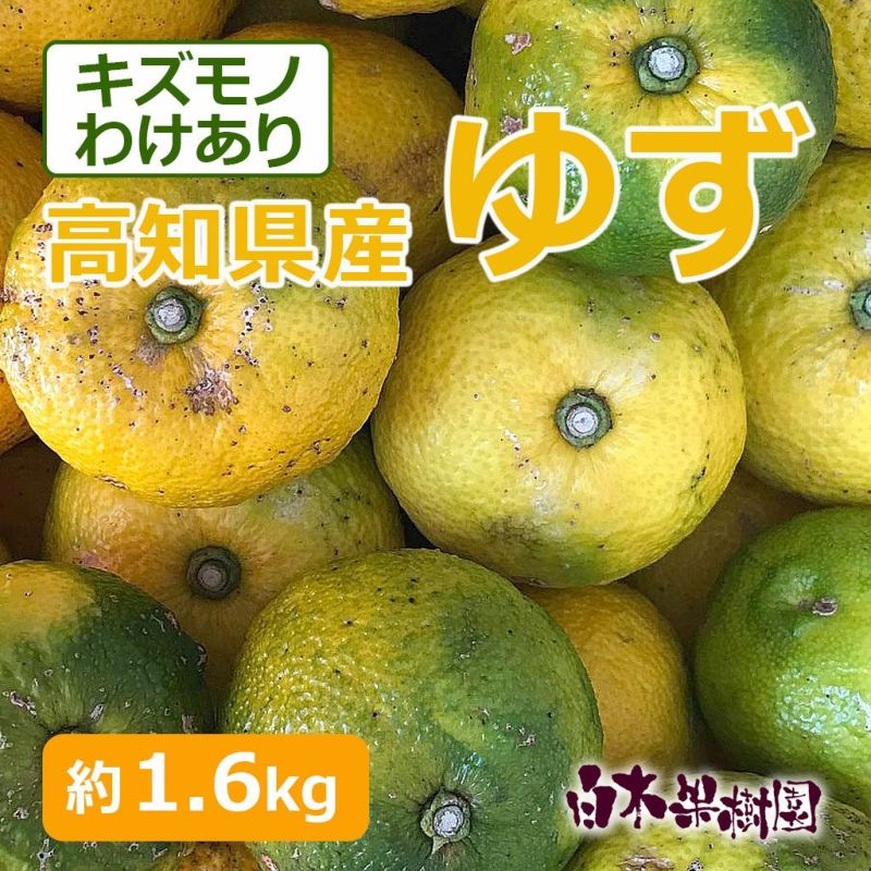 わけありキズモノゆず（柚子） 約1kg