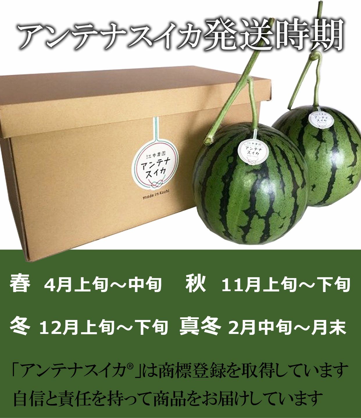 発送時期